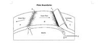 Plate Boundaries
Ocean toar
Orean er
Continent
Martte
