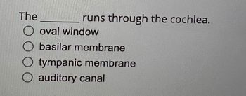 The
O oval window
O basilar membrane
runs through the cochlea.
tympanic membrane
auditory canal