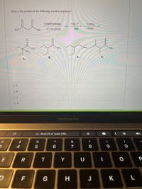 What is the product of the following reaction sequence?
1) NaOEt (excess)
H,0, H*
1) SOCI,
EtO
2) 2 CH,CH,Br
heat
2) NH,
OEt
`NH2
`NH2
`NH2
NH2
В.
C.
D.
A.
O A
O'B
O D
MacBook Pro
G Search or type URL
#3
&
*
$
E
T
Y
D
F
G
H
K
* CO
