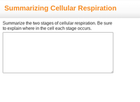 Summarizing Cellular Respiration
Summarize the two stages of cellular respiration. Be sure
to explain where in the cell each stage occurs.
