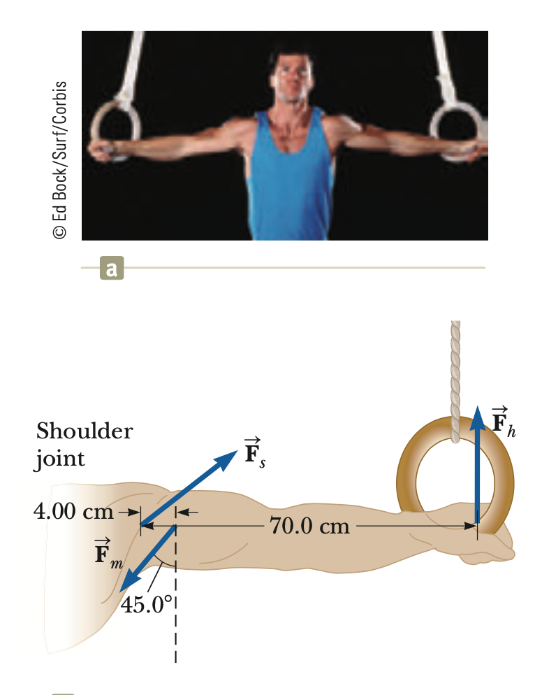 Solved 3. An athlete weighing 750 N performs an iron cross