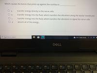 Which causes the bones that press up against the cochlea to
a
transfer energy directly to the nerve cells.
transfer energy into the fluid, which transfers the vibrations along the basilar membrane.
C
transfer energy into the fluid, which transfers the vibrations to signal the nerve cells.
d
absorb all of the energy..
Type here to search
42°F Partly cloudy
DELL
F1
F2
F3
F4
F5
F6
F7
F8
F9
F10
F11
F12
PrtScr
Insert
