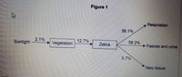 Figure 1
Respiration
36.1%
2.1%
12.7%
58.2%
Sunlight
Vegetation
Zebra
Faeces and uine
5.7%
New tissue
