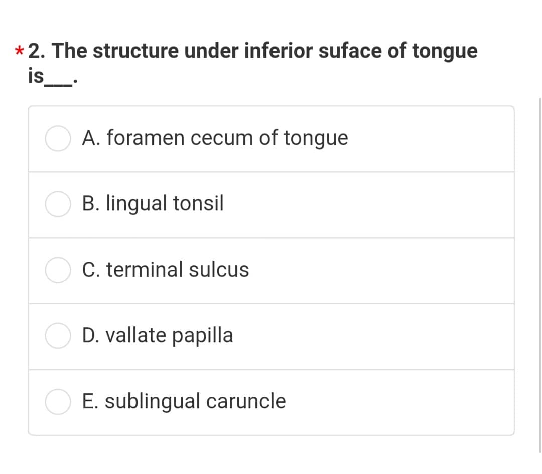 sublingual sulcus