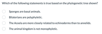 Which of the following statements is true based on the phylogenetic tree shown?
Sponges are basal animals.
Bilaterians are polyphyletic.
The Acoela are more closely related to echinoderms than to annelids.
The animal kingdom is not monophyletic.