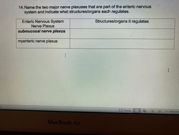 14. Name the two major nerve plexuses that are part of the enteric nervous
system and indicate what structures/organs each regulates.
Structures/organs it regulates
Enteric Nervous System
Nerve Plexus
submucosal nerve plexus
myenteric nerve plexus
MacBook Air
Focus
E
E
E
I