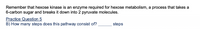 Remember that hexose kinase is an enzyme required for hexose metabolism, a process that takes a
6-carbon sugar and breaks it down into 2 pyruvate molecules.
Practice Question 5
B) How many steps does this pathway consist of?
steps
