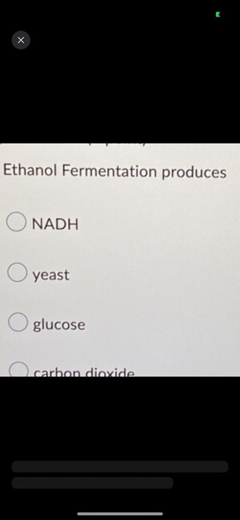 X
Ethanol Fermentation produces
NADH
yeast
Oglucose
carbon dioxide