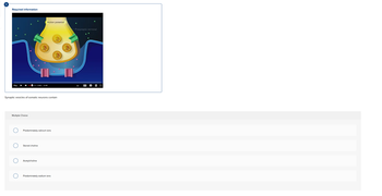 !
Required information
30s
Multiple Choice
Synaptic vesicles of somatic neurons contain
Action potential
0:00 0:45
Predominately calcium ions
Stored choline
Acetylcholine
Predominately sodium ions
-Presynaptic terminal
1x