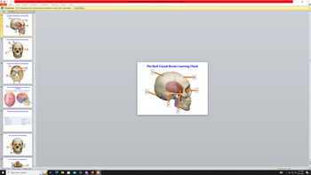 P
Protected View
Slides Outline
16
17
File
18
19
20
21
22
Home
D
The Skull Cranial Bones: Learning Check
a
The Skull Cranial Bones: Learning Check
B
D
A. Coronal
The Skull Cranial Bones: Learning Check
C
B. Sagittal
C. Lambdoid
E
Insert Design Transitions Animations
This file originated from an Internet location and might be unsafe. Click for more details.
B
The Sutures (5): Rigid joints that appear on
the skull.
Aline along which any two bones of the skull are immovably joined,
such as the coronal suture between the frontal and parietal bones
Facial bones
Maxile (2)
Palatine bones (2)
Zygomatic bones (2)
Lacrimal bones (2)
E
Slide 16 of 48
+
C
ame
B
C. Lambdoid
The Skull Facial Bones: Learning Check
m
A. Coronal
B. squamous
The Facial Bones: Learning Check
B
C
"Office Theme"
The Facial Bones: Learning Check
Nasal bones (2)
Vomer
Inferior nasal conchae (2)
Mandible (1)
Dinter
31 maxillary
Type here to search
D
English (U.S.)
Slide Show
Review
View
Enable Editing
Po
Chapter 7 (Final)(1) [Protected View] - Microsoft PowerPoint (Product Activation Failed)
The Skull Cranial Bones: Learning Check
D
с
E
B
A
回铝室 60%
GE
I
(»)
3:31 PM
2/21/2023
x
X
+*