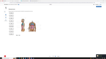 I
M McGraw Hill
Study Mode: Lecture Assignment 1 (Chapter 1-3) i
1
0.23
points
eBook
Print
References
X Question 1 - Lecture Assignment 1 (X ► Watch The Last of Us 2023 full sex b Answered: Learning Check: Whax +
O8 https://ezto.mheducation.com/ext/map/index.html?_con=con&external_browser=0&launch
Directional terms
Drag each label into the proper position to identify the meaning behind each arrow.
Superior
Mc
Graw
Hill
Type here to search
Posterior
Medial
Lateral
Distal
Intermediate
Inferior
Proximal
Anterior
Reset Zoom
Url=https%253A%252F%252Fnewconnect.mheducation.com%252F#/activity/question-group/kEZASsBkEPtKtPCm7MmbWW7U7SgceUJqMXdMZdsomjCT5iqB1RkUA5ePuubqez1kKEq6GuR8ha9YuaL4p9N6mUFWVS0KJpXg_vbc
Saved
< Prev
1 of 43 #
Next >
Help
35°F Clear
Save & Exit Submit
Check my work
S1L3NT_K1LLA
is now playing
Hunt: Showdown
4) ENG
4:41 PM
2/3/2023
x
=