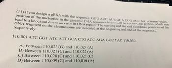 If you design a gRNA with the sequence, GGU AUC AUU GCA CUG ACC AG, in theory, which position of the nucleotide in the genomic DNA sequence below will be cut by Cas9 protein, which may lead to a knockout due to an error in DNA repair? The starting and the end coordinate positions of the DNA fragment on the chromosome are indicated at the beginning and end of the sequence, respectively.

110,001 ATC GGT ATC ATT GCA CTG ACC AGA GGC TAC 110,030

A) Between 110,023 (G) and 110,024 (A)  
B) Between 110,021 (C) and 110,022 (A)  
C) Between 110,020 (C) and 110,021 (C)  
D) Between 110,009 (C) and 110,010 (A)