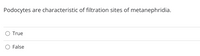 **Question:**  
Podocytes are characteristic of filtration sites of metanephridia.

- ○ True
- ○ False

**Explanation:**  
This question pertains to the biological structure and function of podocytes and metanephridia. Podocytes are specialized cells typically found in the kidneys of vertebrates, playing a key role in the filtration process of the nephron, not in metanephridia. Metanephridia, on the other hand, are excretory systems found in some invertebrates, such as annelids. Understanding the correct associations is crucial for learning about different excretory systems across species.