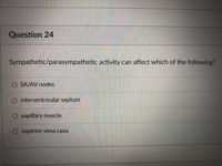 Question 24
Sympathetic/parasympathetic activity can affect which of the following?
O SA/AV nodes
O interventricular septum
papillary muscle
O superior vena cava
