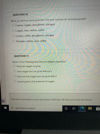 QUESTION 10
What are the four most important chemical nutrients for microbial growth?
O Carbon, copper, phosphorus, nitrogen
O Copper, iron, carbon, sulfur
Carbon, sulfur, phosphorus, nitrogen
O Nitrogen, carbon, iron, sulfur
QUESTION 11
Which of the following describes an obligate anaerobe?
O Requires oxygen to grow
Uses oxygen but can grow without it
O Does not use oxygen but can grow with it
O Cannot grow in the presence of oxygen
Click Save amd Submit to save and submit. Click Save All Answers to save all answers.
P Type here to search
立
