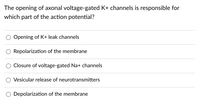 The opening of axonal voltage-gated K+ channels is responsible for
which part of the action potential?
O Opening of K+ leak channels
Repolarization of the membrane
Closure of voltage-gated Na+ channels
Vesicular release of neurotransmitters
O Depolarization of the membrane
