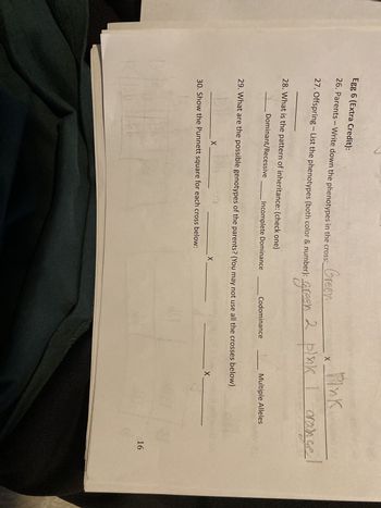 Egg 6 (Extra Credit):
26. Parents - Write down the phenotypes in the cross:
Green
27. Offspring - List the phenotypes (both color & number):
X
Pink
Green 2 pink
2 pink 1 orange
28. What is the pattern of inheritance: (check one)
Dominant/Recessive
Incomplete Dominance
Codominance
Multiple Alleles
ex
29. What are the possible genotypes of the parents? (You may not use all the crosses below)
X
30. Show the Punnett square for each cross below:
ВЬ
bb
X
X
16