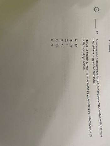 1
D. WWRR
12.
A male mouse heterozygous for both fur and eye colour mated with a female
mouse heterozygous for both traits.
Out of 64 offspring, how many mice can be expected to be heterozygous for
both fur and eye colour?
A. 16
B. 36
C. 1
D. 12
E. 48
F.
4