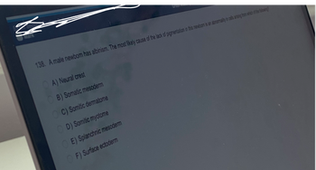 S
138. A male newborn has albinism. The most likely cause of the lack of pigmentation in this newborn is an abnormality in cells arising from which of the folowing?
A) Neural crest
B) Somatic mesoderm
OC) Somitic dermatome
OD) Somitic myotome
OE) Splanchnic mesoderm
OF) Surface ectoderm