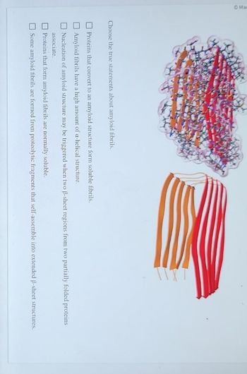 Choose the true statements about amyloid fibrils.
Proteins that convert to an amyloid structure form soluble fibrils.
Amyloid fibrils have a high amount of α-helical structure.
Nucleation of amyloid structure may be triggered when two ß-sheet regions from two partially folded proteins
associate.
Proteins that form amyloid fibrils are normally soluble.
Some amyloid fibrils are formed from proteolytic fragments that self-assemble into extended ẞ-sheet structures.