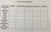 Animal Taxonomy (Protista)
Comparison
Intermediate
Euglena
Trypanosoma Plasmodium Paramecium
Amoeba
host
Definite host
Habitat
Disease
Vector
Infective
stage
locomotion
Feeding
Reproduction
Major
characteristics
Life cycle
