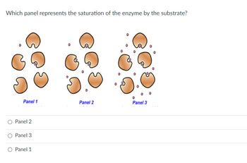 Which panel represents the saturation of the enzyme by the substrate?
Panel 1
O Panel 2
Panel 3
O Panel 1
Panel 2
Panel 3