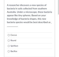 A researcher discovers a new species of
bacteria in soils collected from southern
Australia. Under a microscope, these bacteria
appear like tiny spheres. Based on your
knowledge of bacteria shapes, this new
bacteria species would be best described as _
Coccus
Round
Spirillum
Bacillus
