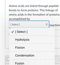 Amino acids are linked through peptide
bonds to form proteins. This linkage of
amino acids in the formation of proteins
accomplished by
[ Select ]
reaction
V [ Select ]
Hydrolysis
Fission
Condensation
Fusion
