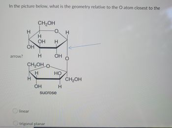 In the picture below, what is the geometry relative to the O atom closest to the
arrow?
H
OH
H
CH₂OH
H
CH₂OH O
H
Olinear
H
ОН
ОН
O
trigonal planar
H
ОН
HO
sucrose
-I
H
H
CH₂OH