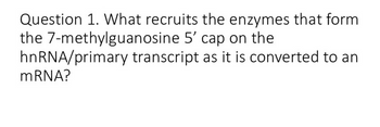 Question 1. What recruits the enzymes that form
the 7-methylguanosine 5' cap on the
transcript as it is converted to an
hnRNA/primary
mRNA?