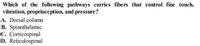 Which of the following pathways carries fibers that control fine touch,
vibration, proprioception, and pressure?
A. Dorsal column
B. Spinothalamic
C. Corticospinal
D. Reticulospinal
