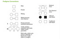 Pedigree Conventions
Identical
twins
Male
Female
Non-identical
twins
Mating
Affected
individuals
Mating between
close relatives
Unaffected
individuals
Roman numerals
I
symbolize generations
Arabic numbers
symbolize individuals
within a given
generation
II
2 3
Birth order, within each
group of offspring, is
drawn left to right,
oldest to youngest
