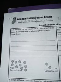 Amoeba Sisters | Video Recap
NAME: NAshia Cyriaque
Amoeba Sisters Videc
2. W
1. In diffusion, the net movement of a substance travels
down its concentration gradient. Explain using the
the r
mea
image below.
usin
High
Concentration
Low
Concentration
3. Simple diffusion can occur through a cell membranol
