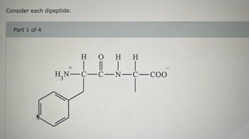 Consider each dipeptide.
Part 1 of 4
+
Η Ο Η Η
H,N-C-C-N-C-COO