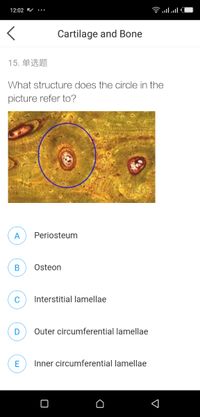 12:02
Clו.nl
Cartilage and Bone
15. 单选题
What structure does the circle in the
picture refer to?
A
Periosteum
В
Osteon
C
Interstitial lamellae
D
Outer circumferential lamellae
E
Inner circumferential lamellae
