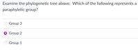 Examine the phylogenetic tree above; Which of the following represents
a
paraphyletic group?
Group 3
Group 2
Group 1
