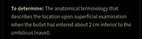 To determine: The anatomical terminology that
describes the location upon superficial examination
when the bullet has entered about 2 cm inferior to the
umbilicus (navel).
