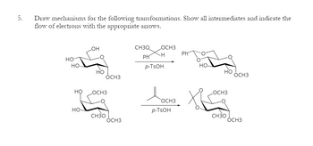 5.
Draw mechanisms for the following transformations. Show all intermediates and indicate the
flow of electrons with the appropriate arrows.
OH
HO
HO-
но
OCH3
HO
OCH3
CH3Q
OCH3
Ph
H
Ph
p-TSOH
HO-
HO
OCH3
OCH3
Досно Ха
OCH3
HO-
p-TSOH
CH3O
OCH3
CH3O
OCH3