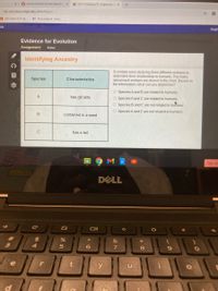 O School District of Palm Beach C x
X GR7-3 Science CR- Edgenuity.co x
a r06.core.learn.edgenuity.com/Player/
A LIVE class 3/31 @.
KỊ Play Kahoot! - Ente.
CR
Engli
Evidence for Evolution
Assignment
Active
Identifying Ancestry
Scientists were studying three different embryos to
determine their relationship to humans. The notes
about each embryo are shown in the chart, Based on
the information, what can you determine?
Species
Characteristics
O Species A and B are related to humans.
A
has gill slits
O Species A and C are related to humans.
O Species B and C are not related to humans.
O Species A and C are not related to humans.
contained in a seed
has a tail
M
Sign out
DELL
23
$
4.
&
3
5
e
y
