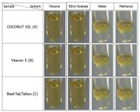 Sample
Solvent
Hexane
Ethyl Acetate
Water
Methanol
COCONUT OIL (A)
Vitamin E (B)
Beef fat/Tallow (C)
