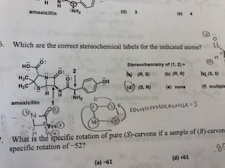 H
amoxieilin
(d) 3
5.
Which are the correct stereochemical labels for the indicated atoms?
но
Stereochemistry ef (1, 2)
R )(b) (R R
NS, )
н,с.
H,с
(4)) (S, R)
() nons
n maltiple
NM2
amoxicillin
ON
counerelouELunse S
VrNO
. What is the specific rotation of pure (S)-carvone if a sample of (R)-carvons
specific rotation of-52?
d) +61
(a)-61
