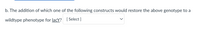 b. The addition of which one of the following constructs would restore the above genotype to a
wildtype phenotype for lacY? [ Select ]
