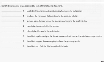 ### Endocrine System Identification Activity

Identify the endocrine organ described by each of the following statements:

1. **_________________________**
   - Located in the anterior neck; produces key hormones for metabolism

2. **_________________________**
   - Produces the hormones that are stored in the posterior pituitary

3. **_________________________**
   - A mixed gland, located behind the stomach and close to the small intestine

4. **_________________________**
   - Paired glands suspended in the scrotum

5. **_________________________**
   - Bilobed gland located in the sella turcica

6. **_________________________**
   - Found in the pelvic cavity of the female, concerned with ova and female hormone production

7. **_________________________**
   - Found in the upper thorax overlying the heart; large during youth

8. **_________________________**
   - Found in the roof of the third ventricle of the brain