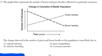 17 The graph below represents the number of brown and green beetles collected in a particular ecosystem.
Change in Coloration of Beetle Population
Green beetles
Brown beetles
Time (years)
The change observed in the number of green and brown beetles in the population is most likely due to
(1) natural selection
(2) selective breeding
(3) gene manipulation
(4) a common ancestor
[4]
Number of Individuals
