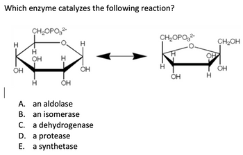 Which enzyme catalyzes the following reaction?
H
OH
CH₂OPO3²-
OH
H
OH
A. an aldolase
B. an isomerase
C.
D. a protease
E. a synthetase
OH
a dehydrogenase
CH₂OPO3²-
H
H
OH
H
CH₂OH
OH