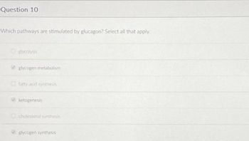 Question 10
Which pathways are stimulated by glucagon? Select all that apply.
glycogen metabolism
tatty acid synthesis
ketogenesis
cholesterol synthesis
glycogen synthesis