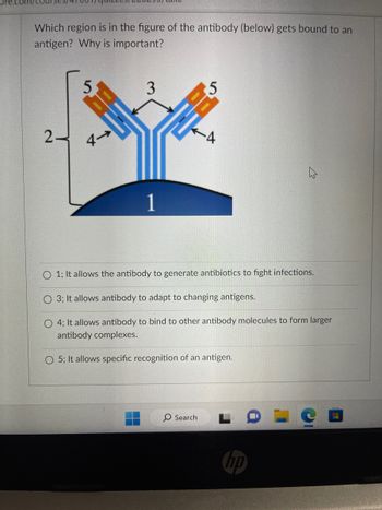 **Antibody Structure and Function**

The diagram illustrates the different regions of an antibody. This particular image is used to identify which part of the antibody binds to an antigen and explain its significance.

**Diagram Explanation:**

1. **Region 1:** Represents the part of the antigen to which the antibody binds.
2. **Region 2:** The stem of the Y-shaped antibody known as the Fc region. It interacts with cell receptors and complement proteins.
3. **Region 3:** The hinge region allows for flexibility, enabling the antibody to adapt to the distance between epitopes.
4. **Region 4:** The light chain variable region responsible for binding antigens.
5. **Region 5:** The antigen-binding site, composed of both heavy and light chain regions to recognize and attach specifically to antigens.

**Multiple-Choice Explanation:**

- **Option 1:** Incorrect. Antibodies do not generate antibiotics.
- **Option 3:** Reflects flexibility but not direct antigen binding.
- **Option 4:** Indicates dimerization or complex formation, not primary antigen binding.
- **Option 5:** Correct. This region allows the antibody's specific recognition of an antigen.

In antibodies, the antigen-binding site (Region 5) is crucial for immune specificity and the subsequent immune response.