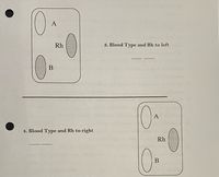 A
Rh
3. Blood Type and Rh to left
В
A
4. Blood Type and Rh to right
Rh
В
