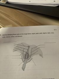 be klnd
be klad
6.11
6. Label the following flower parts on the image below: sepal, petal, pistil, stigma, style, ovary,
ovule, stamen, anther, and filament.
l at ronroduotion?
