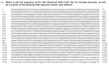 4.
1
71
141
211
281
351
421
491
561
631
701
771
841
911
981
Below is the full sequence of the 16S ribosomal DNA (1457 bp) for Coxiella burnettii, as well
as a section of the flanking DNA sequence (lower case letters):
ATTGAAGAGTTTGATTCTGGCTCAGATTGAACGCTAGCGGCATGCTTAACACATGCAAGTCGAACGGCAG
CGCGGGGAGCTTGCTCCCTGGCGGCGAGTGGCGGACGGGTGAGTAATGCGTAGGAATCTACCTTGTAGTG
1121
GGGGATAACCTGGGGAAACTCGGGCTAATACCGCATAATCTCTTTGGAGCAAAGCGGGGGATCTTCGGAC
CTCGTGCTATAAGATGAGCCTACGTCGGATTAGCTTGTTGGTGGGGTAATGGCCTACCAAGGCGACGATC
CGTAGCTGGTCTGAGAGGACGATCAGCCACACTGGGACTGAGACACGGCCCAGACTCCTACGGGAGGCAG
CAGTGGGGAATATTGGACAATGGGGGAAACCCTGATCCAGCAATGCCGCGTGTGTGAAGAAGGCCTTCGG
70
140
210
280
350
420
490
560
630
GTTGTAAAGCACTTTCGGTGGGGAAGAAATTCTCAAGGGTAATATCCTTGGGCGTTGACGTTACCCACAG
AAGAAGCACTGGCTAACTCTGTGCCAGCAGCCGCGGTAATACAGAGAGTGCAAGCGTTAATCGGAATCAC
TGGGCGTAAAGCGCGCGTAGGTGGATATTTAAGTCGGATGTGAAAGCCCTGGGCTTAACCTGGGAATTGC
ACCCGATACTGGGTATCTTGAGTATGGTAGAGGGAAGTGGAATTTCCGGTGTAGCGGTGAAATGCGTAGA 700
TATCGGAAAGAACACCAGTGGCGAAGGCGACTTCCTGGACCAATACTGACACTGAGGCGCGAAAGCGTGG 770
GGAGCAAACAGGATTAGAGACCCTGGTAGTCCACGCCGTCAACGATGAGAACTAGCTGTTGGGAAGTTCA 840
CTTCTTAGTAGCGAAGCTAACGCGTTAAGTTCTCCGCCTGGGGAGTACGGCCGCAAGGTTAAAACTCAAA
GAAATTGACGGGGGCCCGCACAAGCGGTGGAGCATGTGGTTTAATTCGATGCAACGCGAAAAACCTTACC
TACCCTTGACATCCTCGGAACTTGTCAGAGATGATTTGGTGCCTTCGGGAACCGAGTGACAGGTGCTGCA
910
980
1050
1120
1051 TGGCTGTCGTCAGCTCGTGTCGTGAGATGTTGGGTTAAGTCCCGTAACGAGCGCAACCCTCGTCCTTAGT
TGCCAGCGAGTCAAGTCGGGAACTCTAAGGAGACTGCCGGTGATAAACCGGAGGAAGGTGGGGATGATGT 1190
CAAGTCATCATGGCCCTTACGGGTAGGGCTACACACGTGCTACAATGGGCAGTACAAAGGGTTGCCAAGC
1191
1260
1261 CGCGAGGTGGAGCTAATCCCAGAAAACTGCTCGTAGTCCGGATTGGAGTCTGCAACTCGACTCCATGAAG 1330
1331 TTGGAATCGCTAGTAATCGCGAATCAGCATGTCGCGGTGAATACGTTCTCGGGCCTTGTACACACCGCCC 1400
1401 GTCACACCATGGGAGTGAATTGTACCAGAAGCGGGTAGGCTAACCTTCGGGAGGCCGctcaccacggtat 1470
1471 gatccatgactggggtgaagtcgtaacaaggtagccgtaggggaacctgcggctggatcacctccttact 1540
1541 tttagtgatccaatacttgtaccggtatccacacaaactgctttcttaatttttaaaggatccaggatct 1610